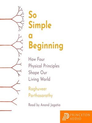 cover image of So Simple a Beginning